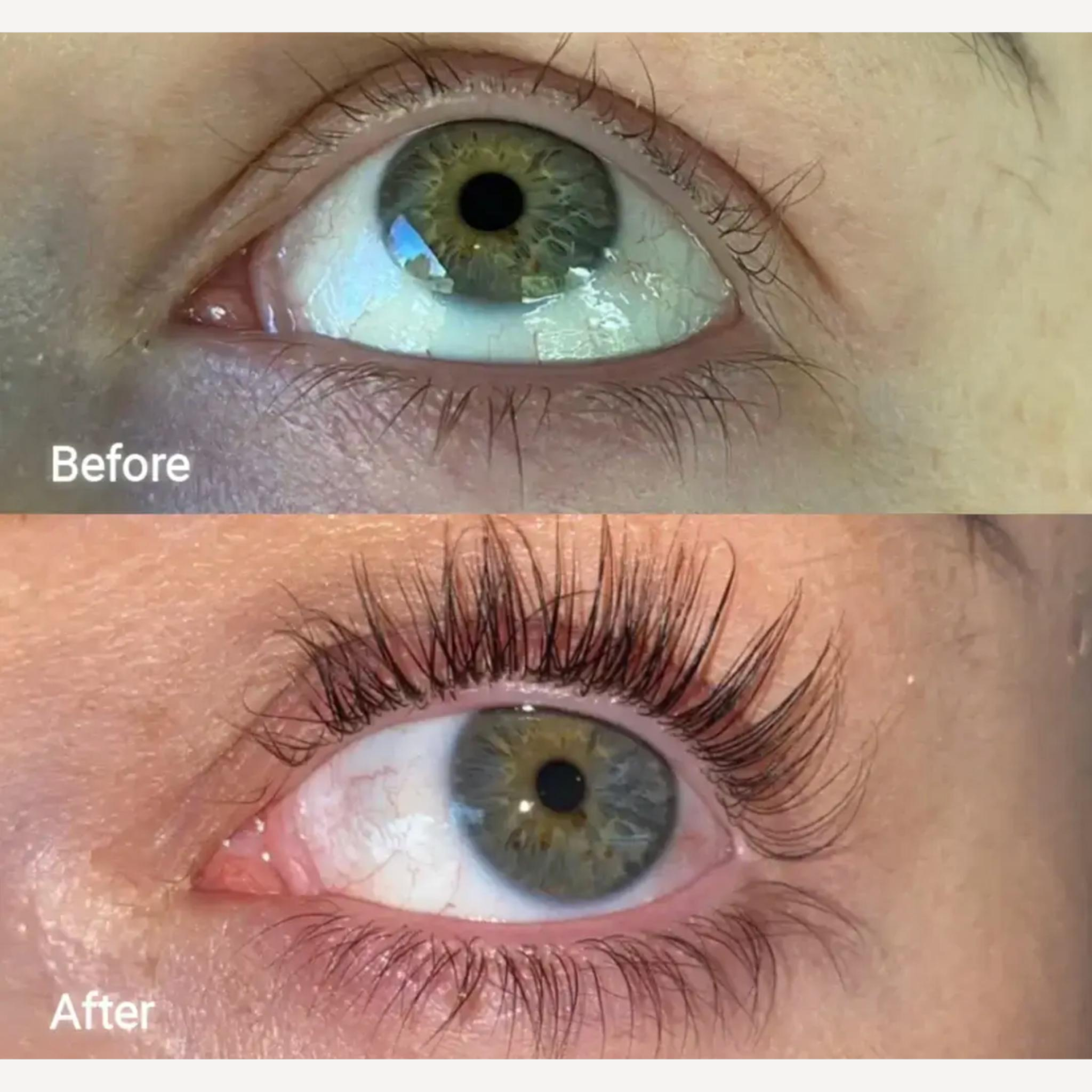 Novalora lash serum
