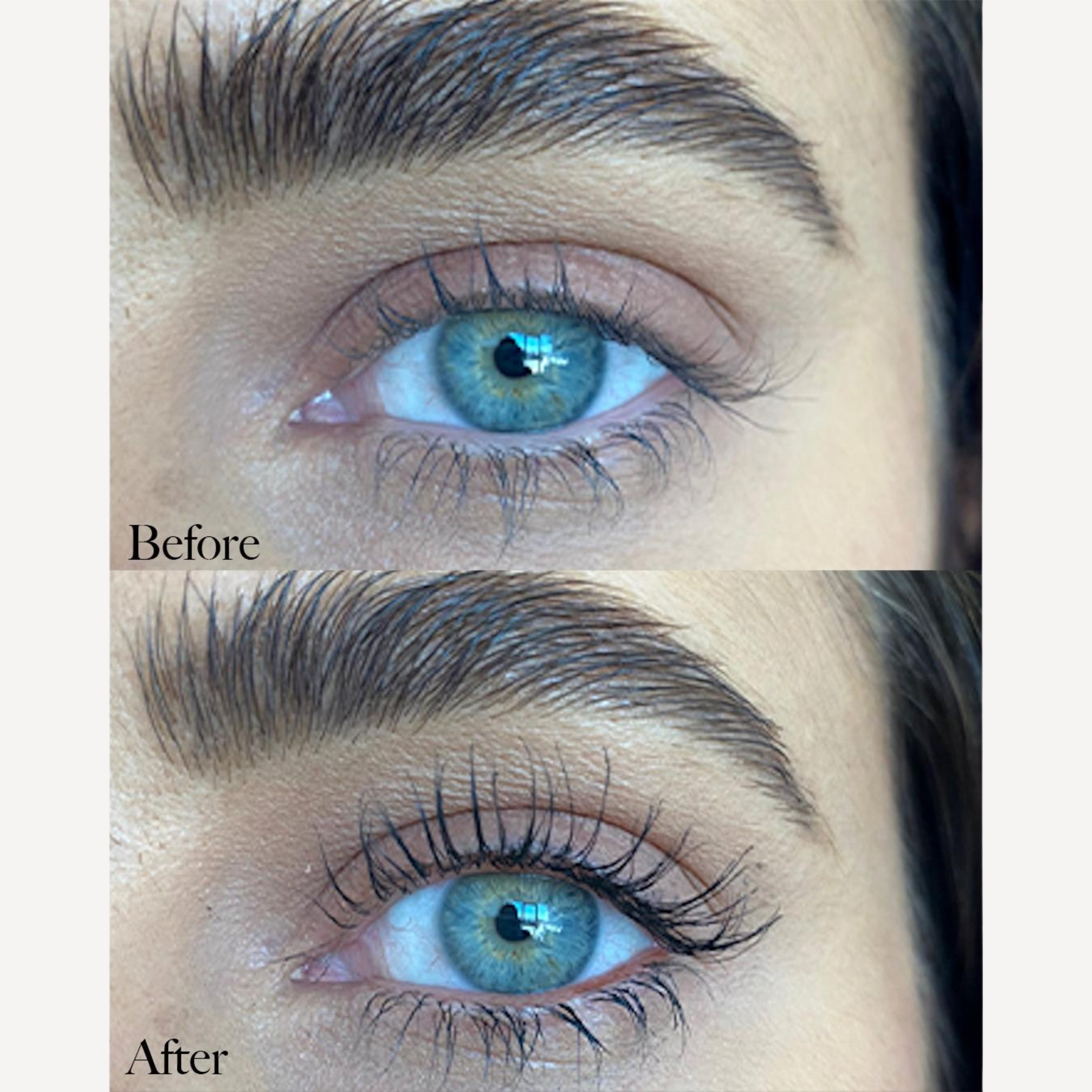 Novalora lash serum